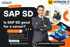 Read more about the article Is SAP SD good for a career?