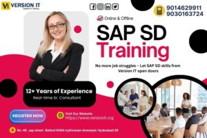 Read more about the article SAP SD Training in Visakhapatnam