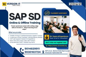 Read more about the article SAP SD Training in Vijayawada