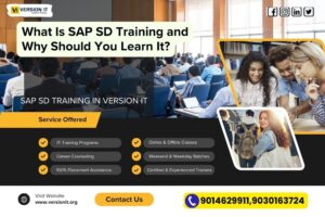 Read more about the article What Is SAP SD Training and Why Should You Learn It?